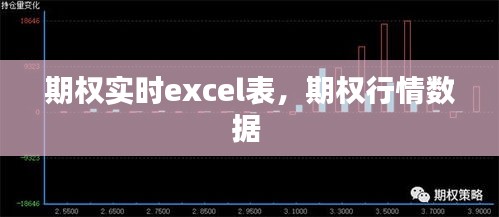 期权实时excel表，期权行情数据 