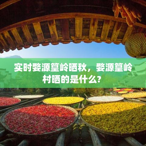 实时婺源篁岭晒秋，婺源篁岭村晒的是什么? 