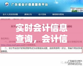 实时会计信息查询，会计信息服务平台 