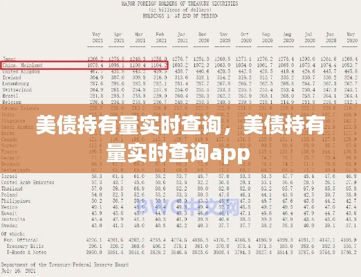 美债持有量实时查询，美债持有量实时查询app 