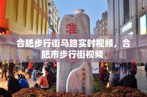 合肥步行街马路实时视频，合肥市步行街视频 