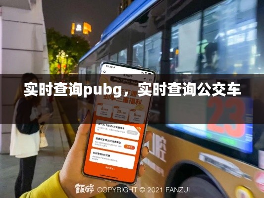 实时查询pubg，实时查询公交车 