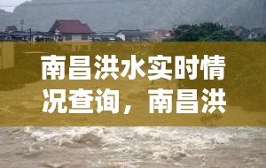 南昌洪水实时情况查询，南昌洪水灾害 