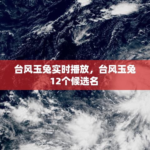 台风玉兔实时播放，台风玉兔12个候选名 