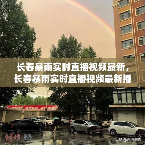 长春暴雨实时直播视频最新，长春暴雨实时直播视频最新播放 