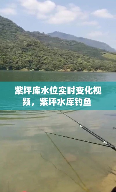 紫坪库水位实时变化视频，紫坪水库钓鱼 