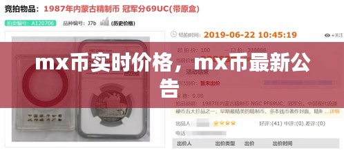 mx币实时价格，mx币最新公告 