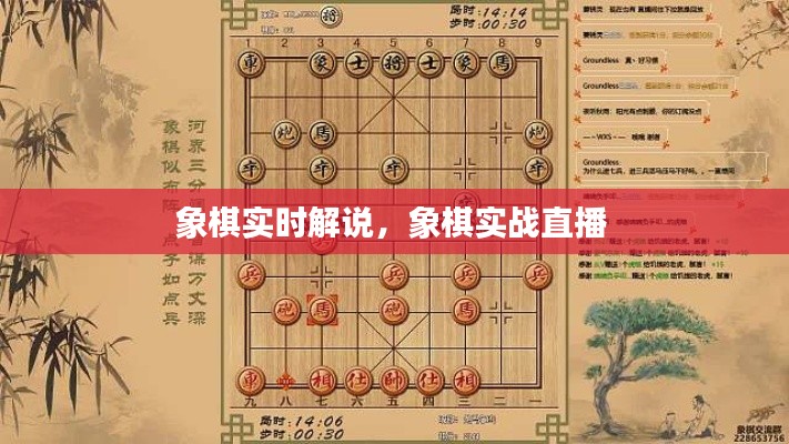 象棋实时解说，象棋实战直播 