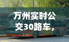 万州实时公交30路车，万州公交车30路路线查询 