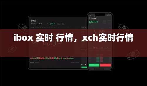 ibox 实时 行情，xch实时行情 