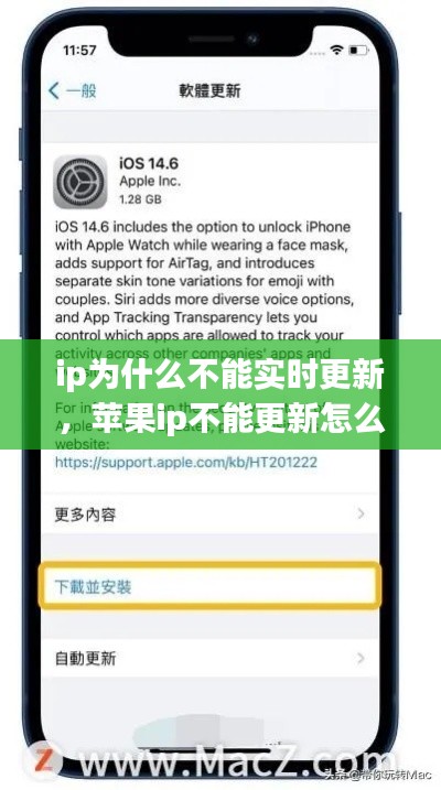 ip为什么不能实时更新，苹果ip不能更新怎么办 