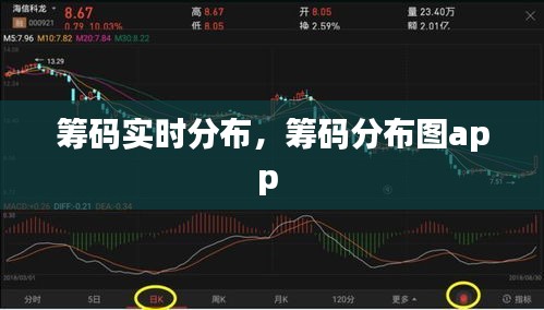 筹码实时分布，筹码分布图app 