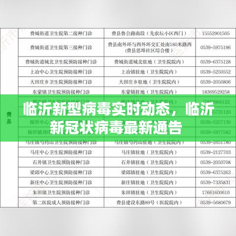 临沂新型病毒实时动态，临沂新冠状病毒最新通告 