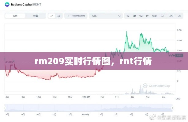 rm209实时行情图，rnt行情 