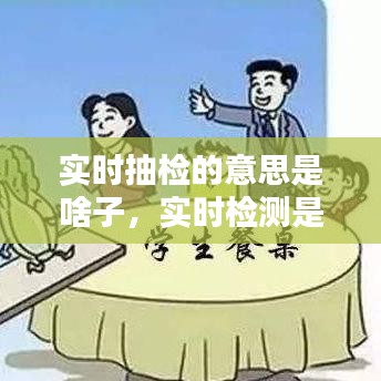 实时抽检的意思是啥子，实时检测是什么意思 