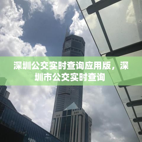 深圳公交实时查询应用版，深圳市公交实时查询 