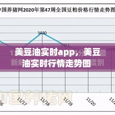 美豆油实时app，美豆油实时行情走势图 