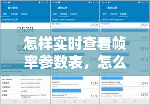 怎样实时查看帧率参数表，怎么看实时帧数 