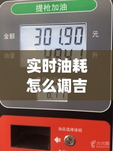 实时油耗怎么调吉利，吉利的油耗表准吗 