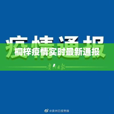 桐梓疫情实时最新通报， 