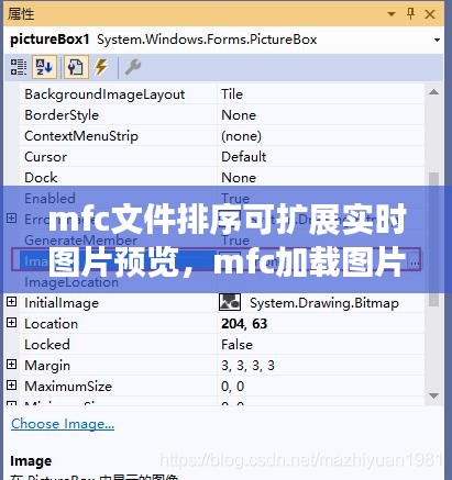 mfc文件排序可扩展实时图片预览，mfc加载图片 