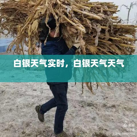 白银天气实时，白银天气天气 