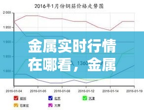 金属实时行情在哪看，金属价格行情在哪查 