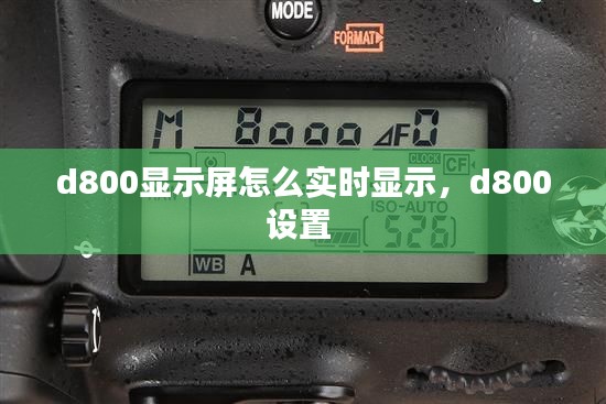 d800显示屏怎么实时显示，d800设置 