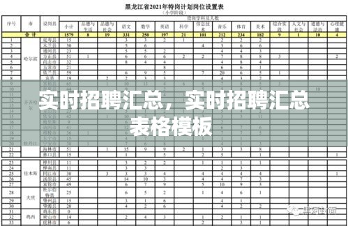 实时招聘汇总，实时招聘汇总表格模板 