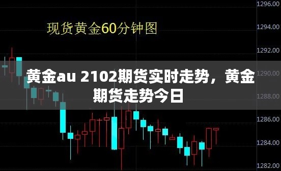 黄金au 2102期货实时走势，黄金期货走势今日 