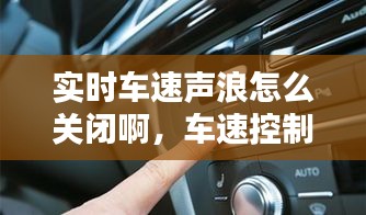 实时车速声浪怎么关闭啊，车速控制系统怎么关闭 