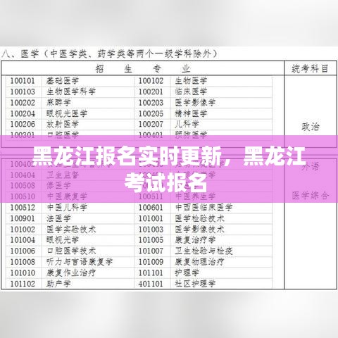 黑龙江报名实时更新，黑龙江考试报名 