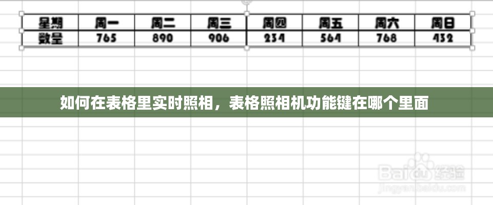 如何在表格里实时照相，表格照相机功能键在哪个里面 