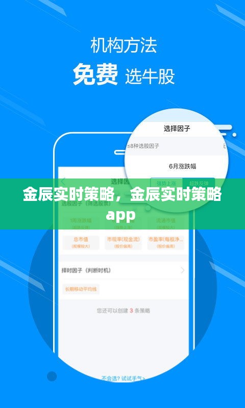 金辰实时策略，金辰实时策略app 