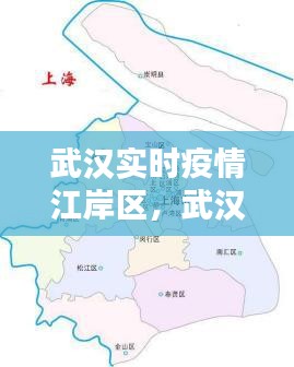 武汉实时疫情江岸区，武汉江岸疫情分布图 