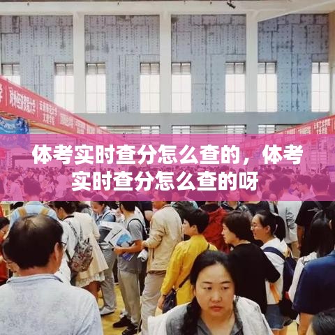 体考实时查分怎么查的，体考实时查分怎么查的呀 