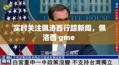 实时关注佩洛西行踪新闻，佩洛西 gme 