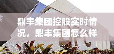 鼎丰集团控股实时情况，鼎丰集团怎么样 