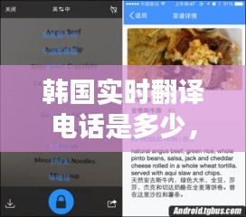 韩国实时翻译电话是多少，韩国中文翻译电话 