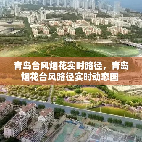 青岛台风烟花实时路径，青岛烟花台风路径实时动态图 