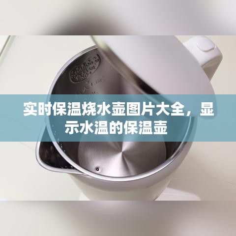 实时保温烧水壶图片大全，显示水温的保温壶 