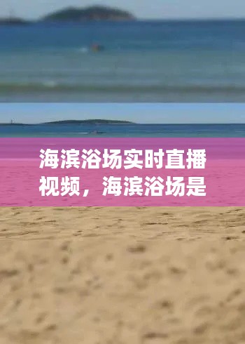 海滨浴场实时直播视频，海滨浴场是啥 