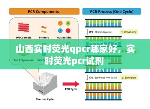 山西实时荧光qpcr哪家好，实时荧光pcr试剂 