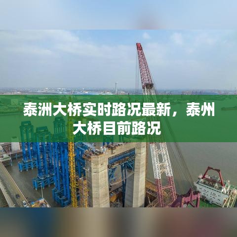 泰洲大桥实时路况最新，泰州大桥目前路况 