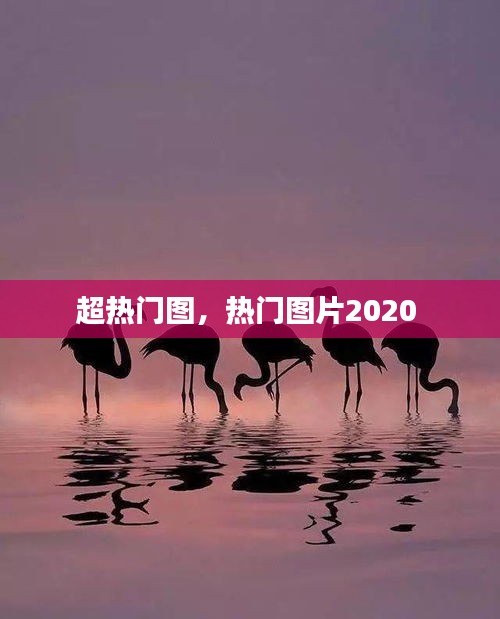 超热门图，热门图片2020 