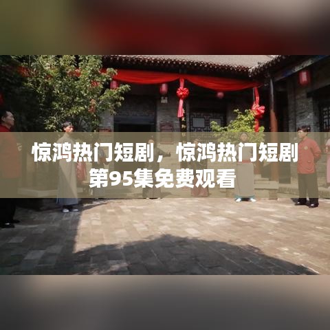 惊鸿热门短剧，惊鸿热门短剧第95集免费观看 