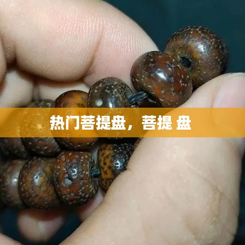 热门菩提盘，菩提 盘 