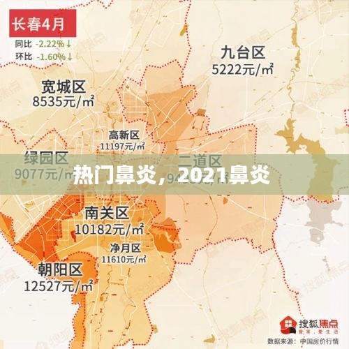 热门鼻炎，2021鼻炎 