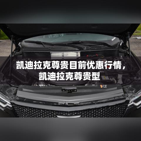 凯迪拉克尊贵目前优惠行情，凯迪拉克尊贵型 