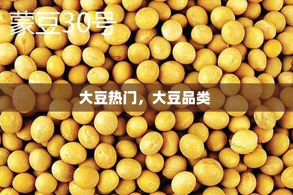 大豆热门，大豆品类 